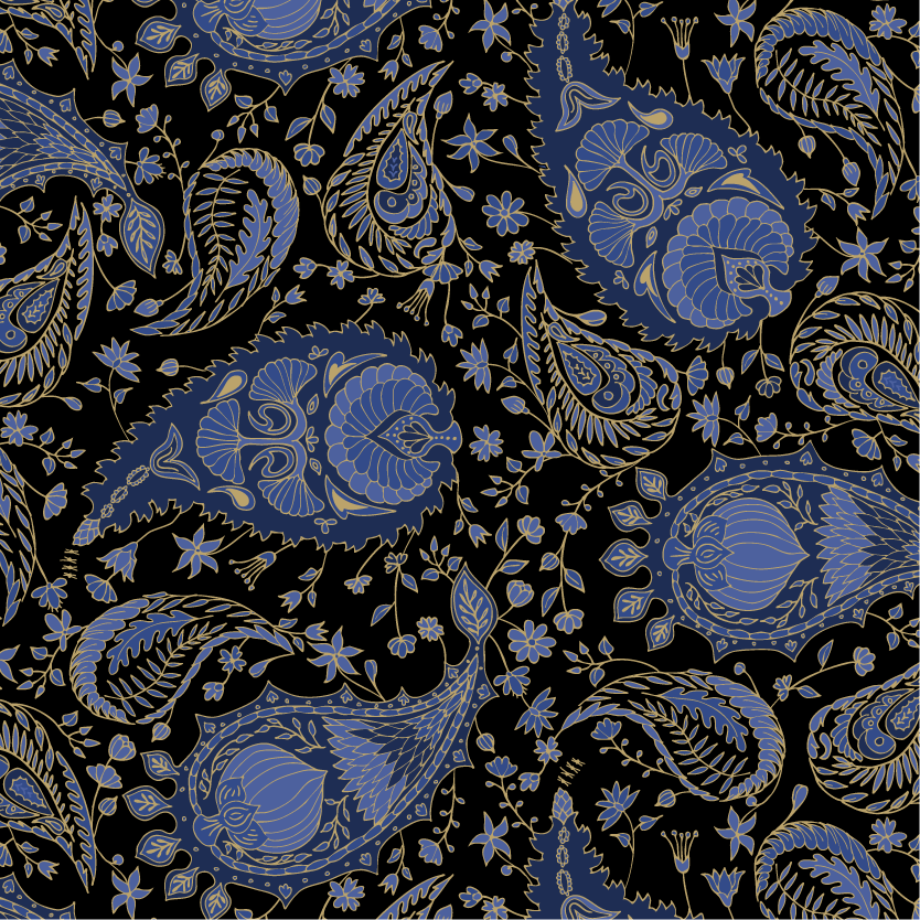 Paisley Pattern Hoodie Paisley Field Luxe 