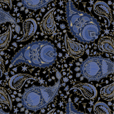 Paisley Pattern Hoodie Paisley Field Luxe 