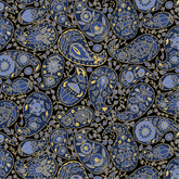 Paisley Storm Hoodie