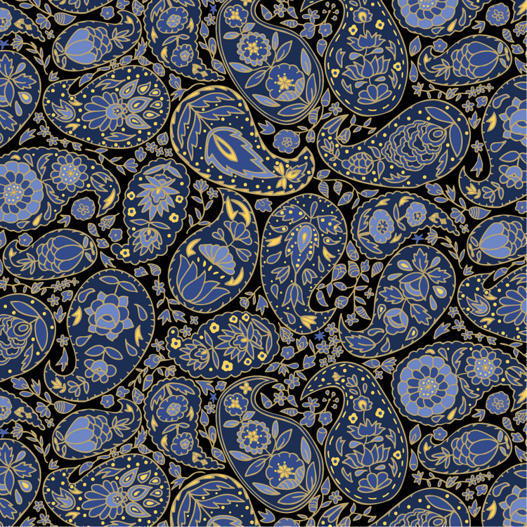 Paisley Storm Hoodie
