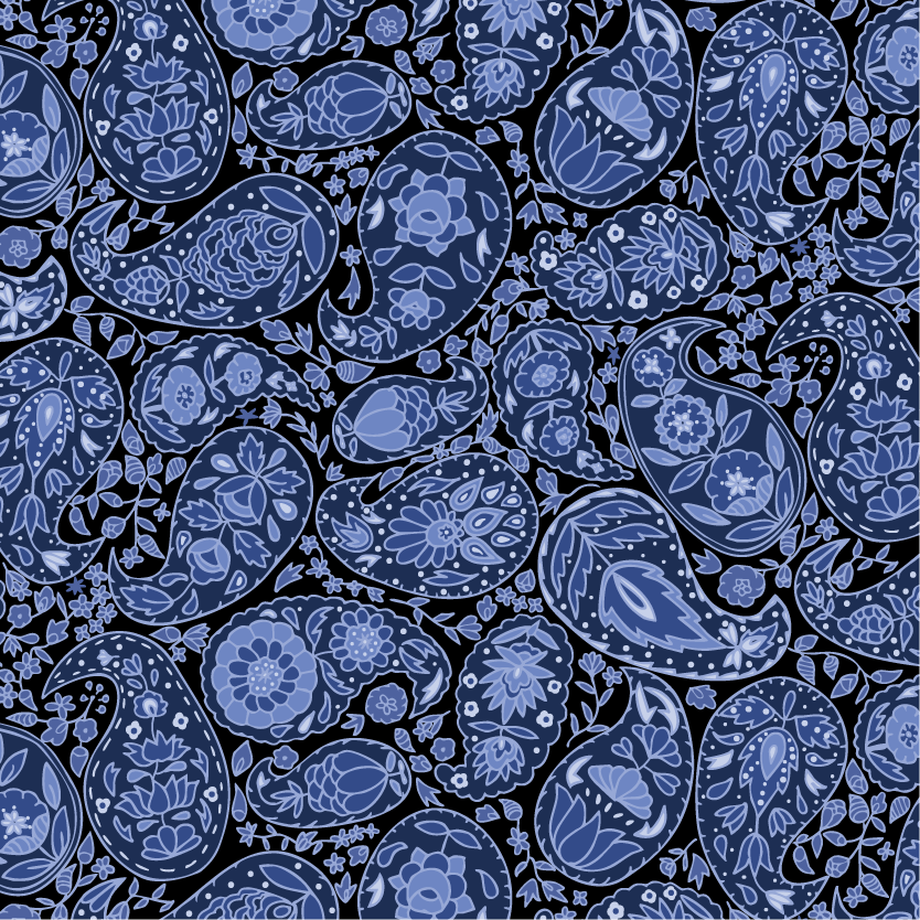 Paisley Storm Hoodie